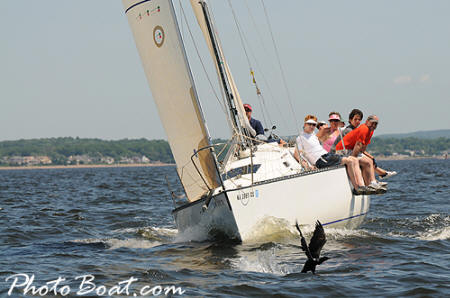 Red Grant Regatta Photos 2008
