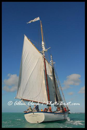 Appledore Key West