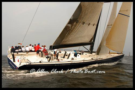 Blue Yankee in Vineyard Race