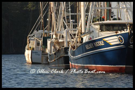 Carolina Shrimp Boats