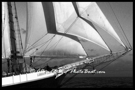 Liberty Clipper Bow