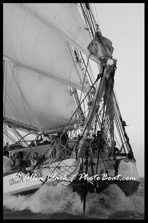Liberty Clipper Head On
