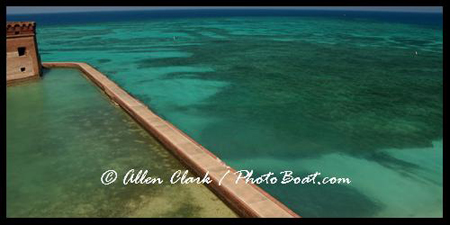 Tortugas Green Sea