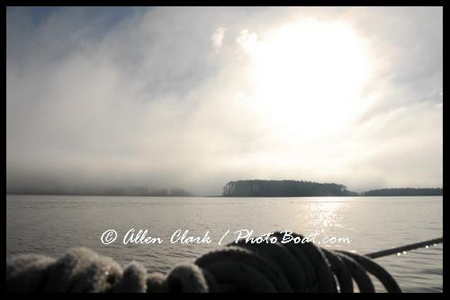 Virginia Fog Bank