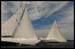 12 Meters in Newport