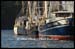 Carolina Shrimp Boats