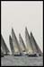 Mumm 30 Fleet