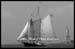 NY City Schooner