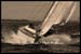 S Boat Splash