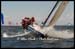 Swan Dive