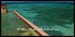 Tortugas Green Sea